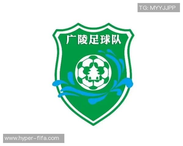 学校足球队标志设计的重要性与文化内涵探讨